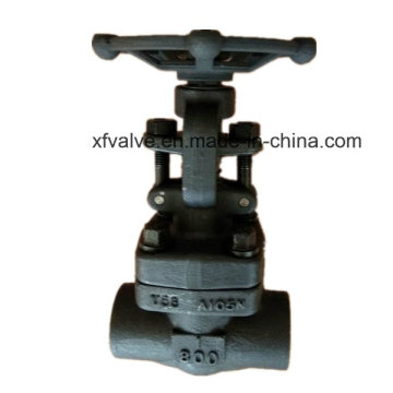 ANSI 800lb Forged Steel A105 Thread NPT Gate Valves